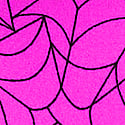 Pink Fire Spiderweb
