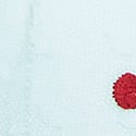 Spray Blue