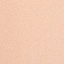 Praline