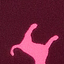 Wild Rose Logo Dog