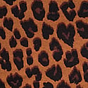 Caramel Leopard
