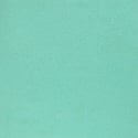 Dusty Turquoise