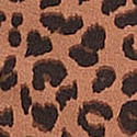 Carmel Leopard