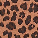 Carmel Leopard