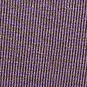Purple Lace Cat Graphic