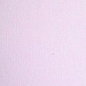 Purple Whisper