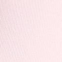 Pink Tulip