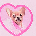 Pink Tulip Dog