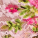 Angel Pink Blooms