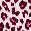 Pink Tulip Leopard with Wild Rose 