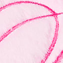 Pink Tulip
