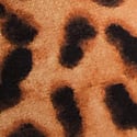 New Leopard