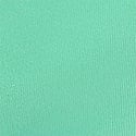 Scuba Blue