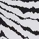 White Zebra Stripes