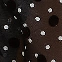 Black & White Dot