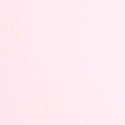 Pink Tulip