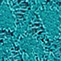 Aquarium Blue