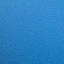 Varsity Blue
