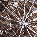 Black Spiderweb