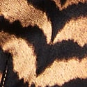 Tiger Stripes