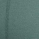 Arctic Green