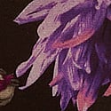 Dark Floral