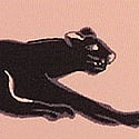 Blush & Black Panthers