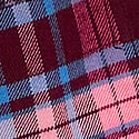Wild Rose Plaid