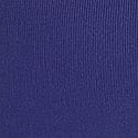 Irresistible Indigo