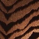 Tiger Stripe