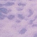 Tinted Lilac Leo