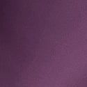 Shadow Purple