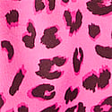 Sizzling Strawberry & Leopard Print