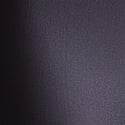Night Shimmer Shine