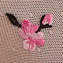 Pink Tulip