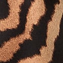 Tiger Stripe