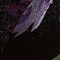 Dark Floral