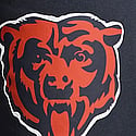 Bears- Dark Indigo