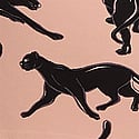 Blush & Black Panthers