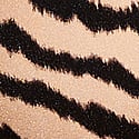 Tiger Stripe