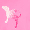PINK Halftime Show Hollywood Pink