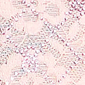 Angel Pink