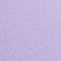Star Lilac