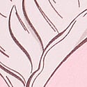 Angel Pink Wings