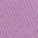 Alluring Lilac