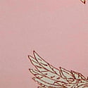 Angel Pink Wings