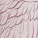 Angel Pink Wings