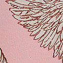 Angel Pink Wings