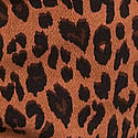 Fall Leopard
