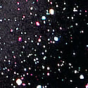 Black Confetti Velour
